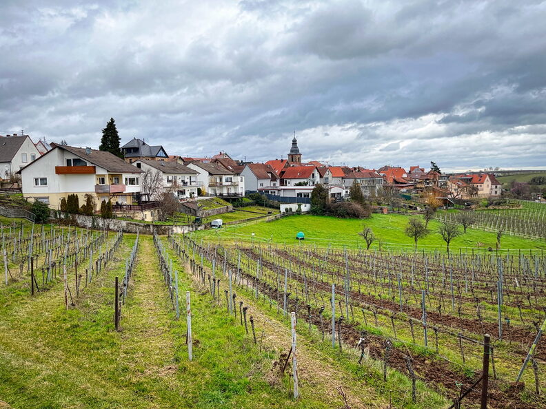 23-03-13 10-33-04 4820